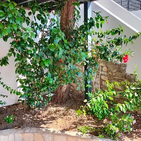 Turun Panorama House